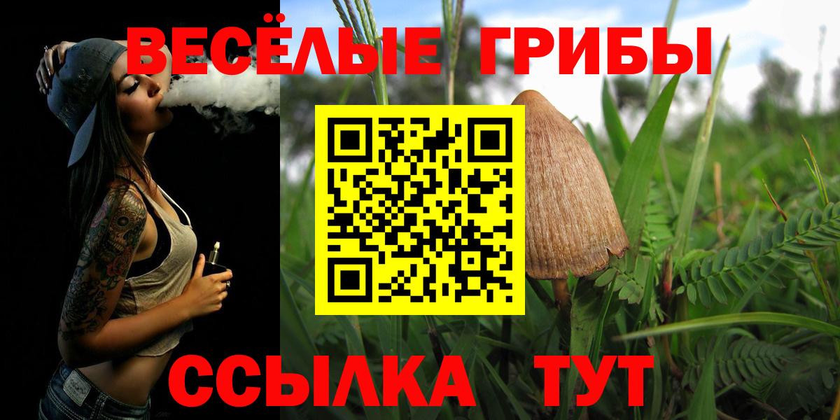 Набережные Челны  Псилоцибиновые грибы MAGIC MUSHROOMS  Псилоцибиновые грибы ЛСД  Вход с VPN 